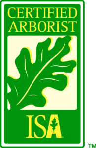 cert_arb-logo-195x300 Your Bonita Springs, Estero and Naples Tree Trimming and Tree Removal Experts